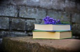 Book stack with purple flowers resting on top